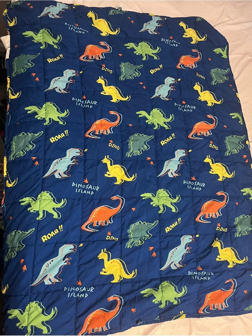 Children's Blue Dinosaur 3lb weighted  Throw Blanket - Fun Dino Print